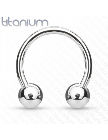 Titanium Circular Barbell with internally threaded balls