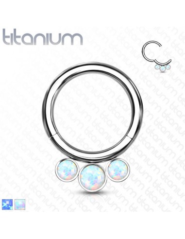 Piercing click ring massief titanium segment ring drie opaal stenen